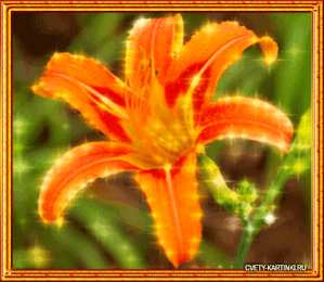  Открытки с оранжевыми лилиями.