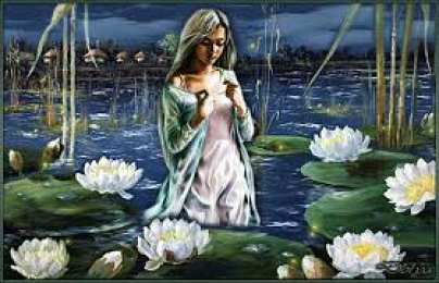  Открытки с водяными лилиями.