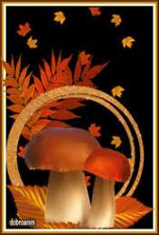  Открытки с лесными грибам.