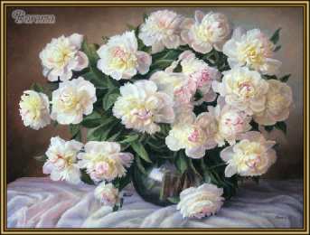  Открытки с белыми пионами.