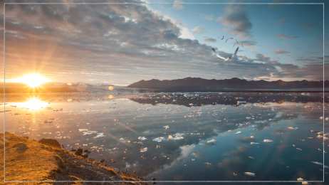  Открытки с парящими в небе птицами.