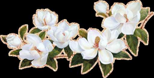  Открытки с цветами жасмина.