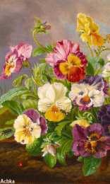  Открытки с разноцветными анютиными глазками.