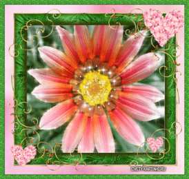  Открытки с гацаниями.