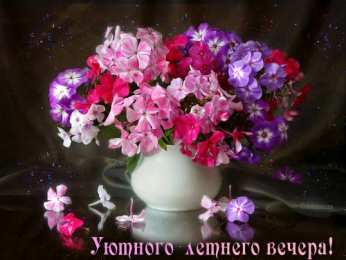  Открытки с флоксами.