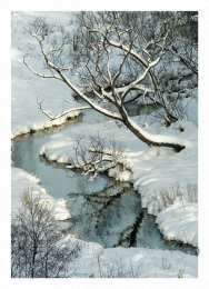  Открытки с зимней природой.