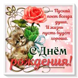 С днем рождения. открытка с котом. котик.