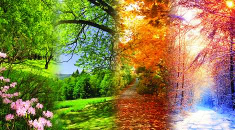  Открытки времена года. Красивые открытки времена года.