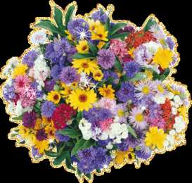  Открытки с цветами.